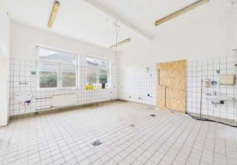 489623-Vorschaubild2
