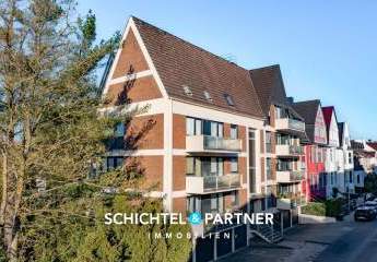 491871-Vorschaubild2