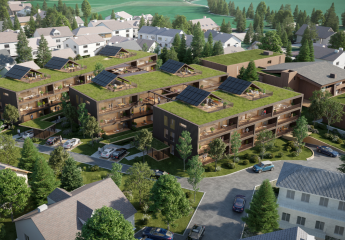 481565-Vorschaubild2