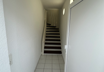 481852-Vorschaubild3