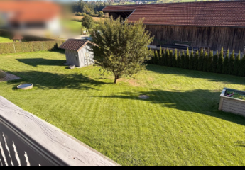 481889-Vorschaubild4