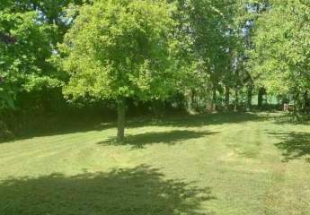 483428-Vorschaubild2