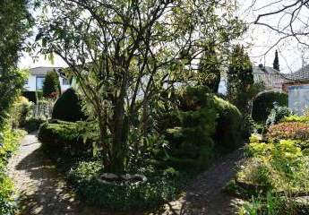 484084-Vorschaubild2