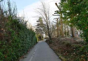 484090-Vorschaubild2