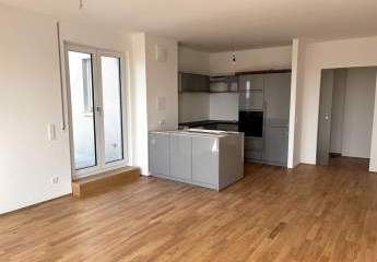 484951-Vorschaubild4