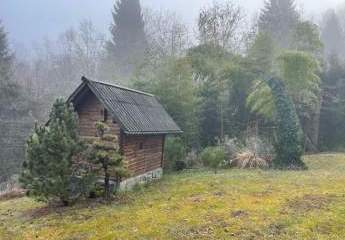 484220-Vorschaubild3