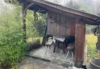 484220-Vorschaubild4