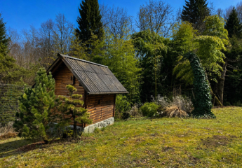 484220-Vorschaubild2