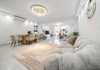 484225-Vorschaubild3