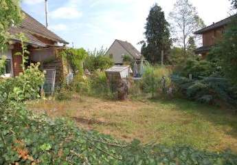 484385-Vorschaubild2