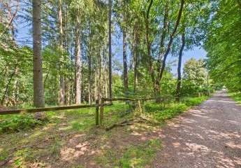 484553-Vorschaubild2