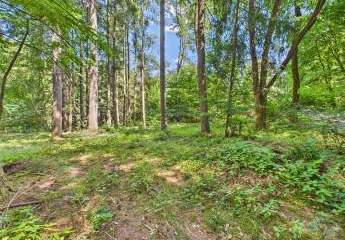 484553-Vorschaubild3