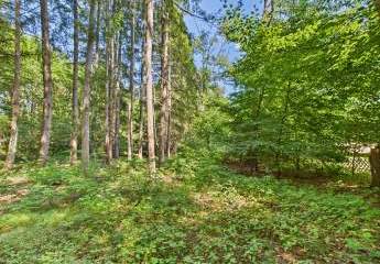 484553-Vorschaubild4