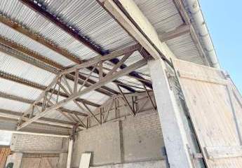 484665-Vorschaubild4