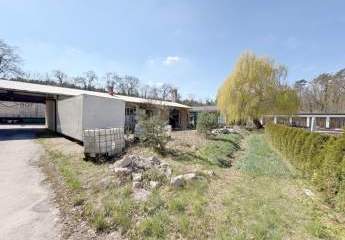 484665-Vorschaubild3