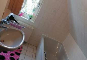 485913-Vorschaubild3