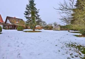 486061-Vorschaubild3