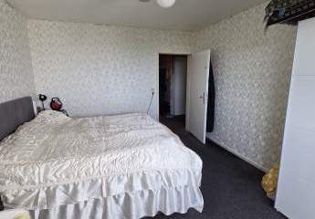 491784-Vorschaubild3