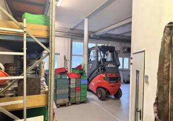 Gewerbehalle mit Kränen, Zufahrtstor & Büro – ca. 100 m² in 64850 Schaafheim