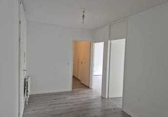 493937-Vorschaubild3