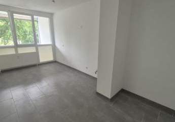 493937-Vorschaubild4