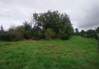 486512-Vorschaubild3