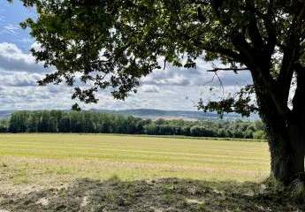 488225-Vorschaubild2