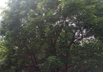 490022-Vorschaubild3