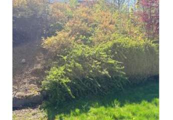 490902-Vorschaubild4