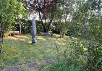 491233-Vorschaubild2