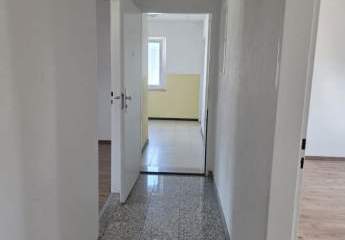 492369-Vorschaubild4