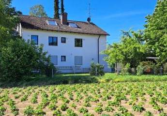 493479-Vorschaubild2
