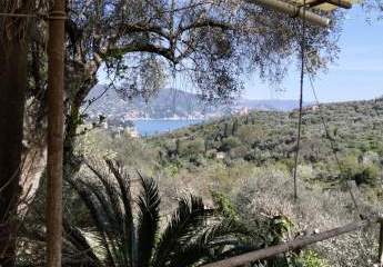 Landhus in vista mare immerso in 15000mq di uliveto e frutteto