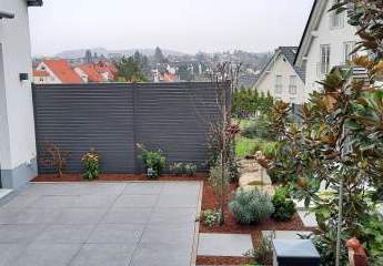 496421-Vorschaubild2